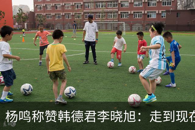 杨鸣称赞韩德君李晓旭：走到现在他们功不可没